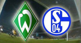 Werder Bremen Schalke Maçı İddaa Tahmini 16.9.17