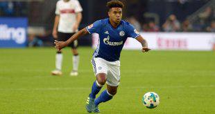 Hoffenheim – Schalke İddaa Tahmini 23.9.2017