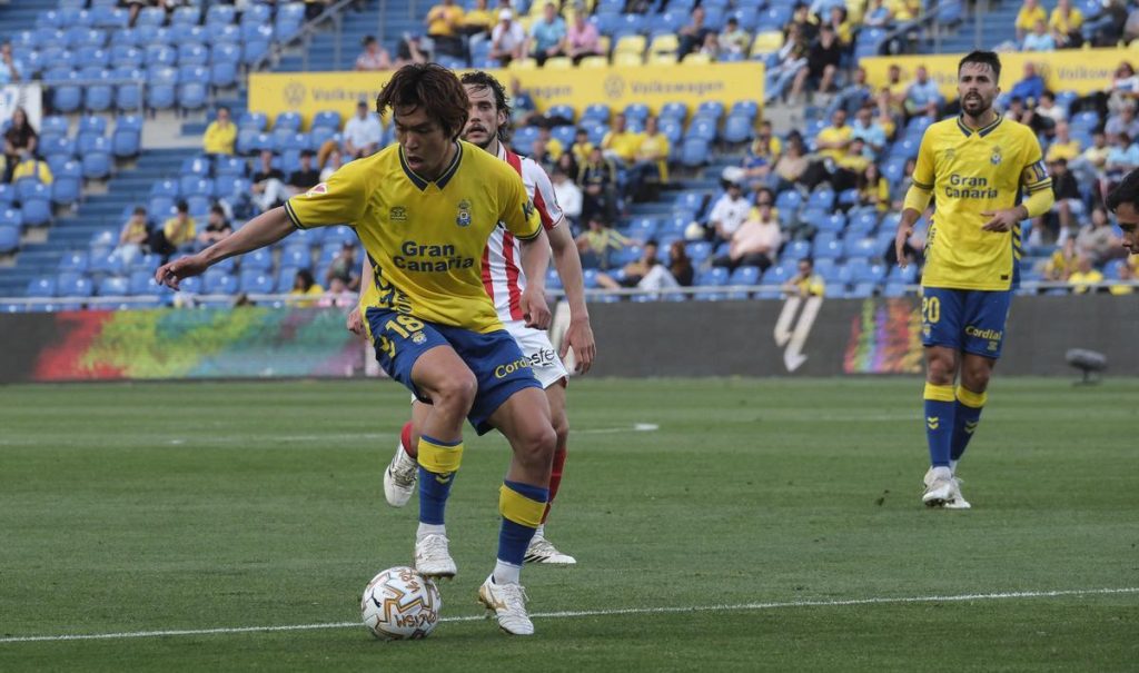 las palmas
